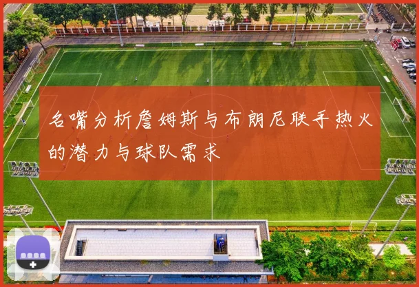 名嘴分析詹姆斯与布朗尼联手热火的潜力与球队需求