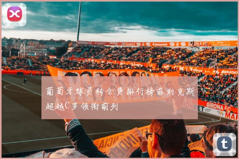 葡萄牙球员转会费排行榜菲利克斯超越C罗领衔前列